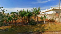 Terreno Urbano de 490m² em Siqueira Campos/PR