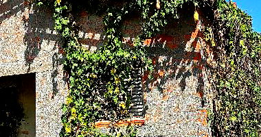 Casa com 3 quartos em União PI