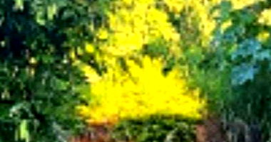 Terreno Urbano de 489.90m² em Umuarama - Oportunidade!