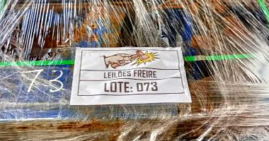 Lote 073 - Pés de Motores Perkins com 24 Unidades