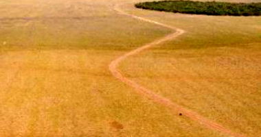 6 Imóveis Rurais em Jaciara - Frações de Fazendas