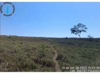 Sítio com 25,60 hectares e benfeitorias em São Mateus/ES