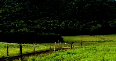 Fazenda dos Patos e Marrecos com Benfeitorias