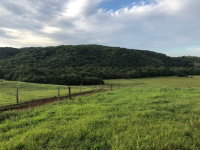 Fazenda dos Patos e Marrecos com Benfeitorias