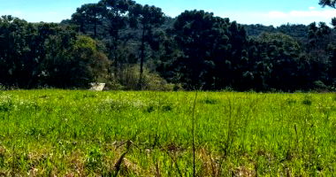 Fração de Terras de Cultura em Marau/RS