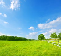 Fazenda Salitre com 63,55 hectares em Presidente Olegário/MG