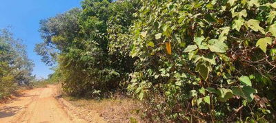 Fazenda Santa Amália com 2.481,67 hectares na Zona Rural