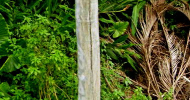 Terreno com 477m² em Parque Balneário Boracéia I