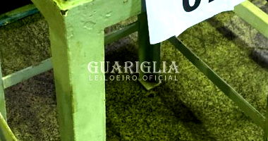 Lote 74 - Diversos Materiais para Leilão