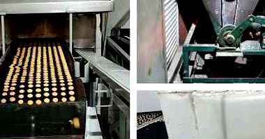 Forno Industrial com Esteira Contínua