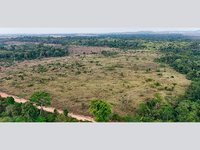 Terreno Rural de 98,61 Ha em Apiacás - MT