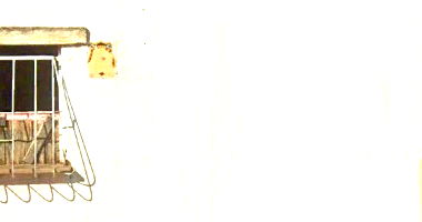 Casa principal com 3 casas em terreno de 722,97m², 5 quartos, 3 banheiros