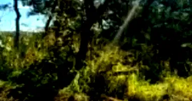 Terrenos em Leilão - Vila das Amoreiras - Mário Campos/MG