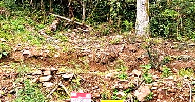 Terreno com 506,74m² em Nova Petrópolis/RS