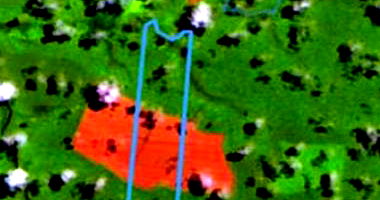 Fazenda Primavera V - Área Rural em Nova Maringá