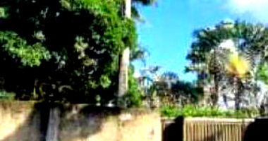 Casa espaçosa com 1 vaga, 263m² construída e ocupada