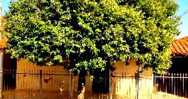 Casa em Urupês/SP com 2 quartos