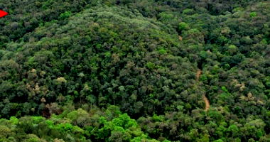 Terreno Rural com Mata Nativa em Campo Largo