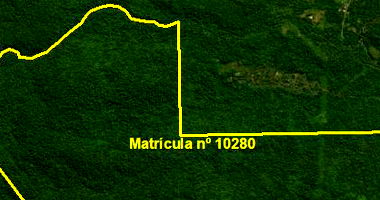 Terreno Rural de 308,46ha em Antonina/PR