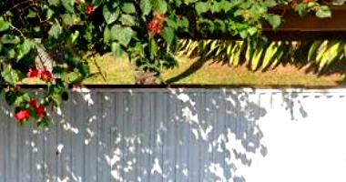 Direitos Possessórios de Terreno com Benfeitorias em Ilhabela