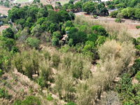 Área de 42350m² em Goiânia - GO