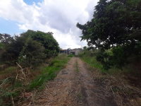 Terreno com Casa em Condomínio Fechado