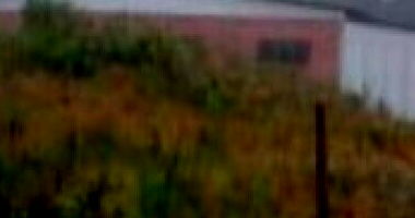 Pavilhão Industrial em Canela/RS com 2300m² de Área Privativa