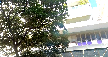 Apartamento em Ipanema com 3 Quartos e 2 Banheiros