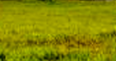 Terreno em Paranapanema com 1098.81m²