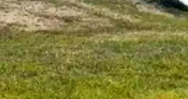 Terreno amplo em leilão