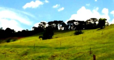 Imóvel Rural com 8.07 Hectares em Presidente Olegário/MG