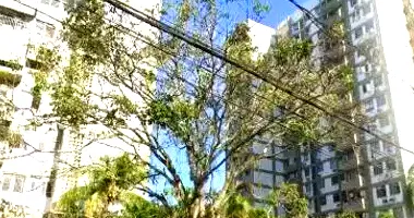 Apartamento com 1 vaga em leilão no Itanhangá, Rio de Janeiro/RJ