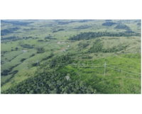 Terreno rural de 157,53 ha em Ouro Preto do Oeste/RO