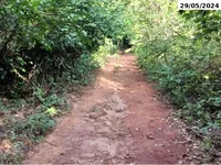 Fazenda com 237,22 hectares, rio perene e pastagens