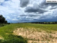 Sítio rural com 72,60 hectares em lavoura mecanizada
