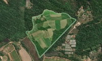 Sítio Murayama com 8 alqueires e benfeitoria em Ibiúna/SP