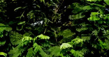 Casa com 2 banheiros e mezanino em Gravataí/RS