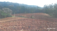 Terreno Rural com Benfeitorias em Vidal Ramos/SC - 131.200m²