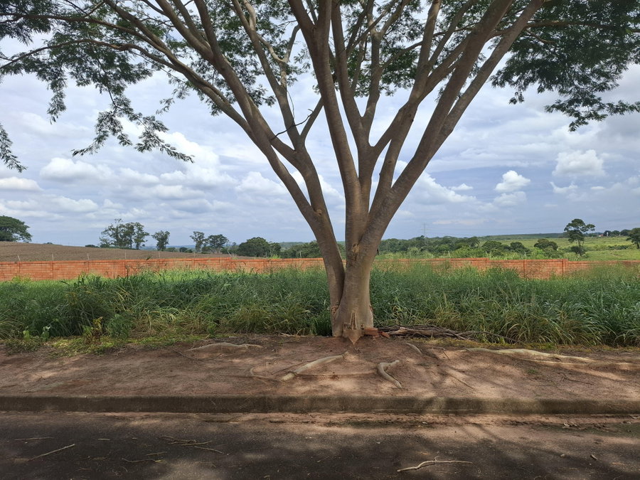Terreno Residencial de 450m² em Mirassol/SP