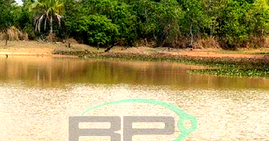 Fazenda de 403 ha em Araguaçu/TO com Latossolo Amarelo