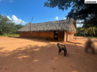 Fazenda com 383 hectares e duas casas simples