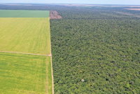 Fazenda Rancho Alegre com 501 ha, desocupada e próxima ao Ribeirão Kevualeli