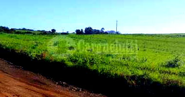 Terreno Rural de 30.000m² em Roque Gonzales