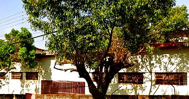 Terreno amplo de 15.600m² com potencial para desenvolvimento