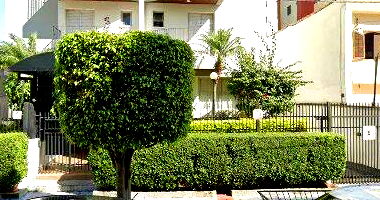 Apartamento 102,30m² - Ed. Res. Mariana - Tatuapé - São Paulo/SP