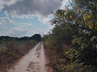 Lote com 15.345 m² em Pacajus