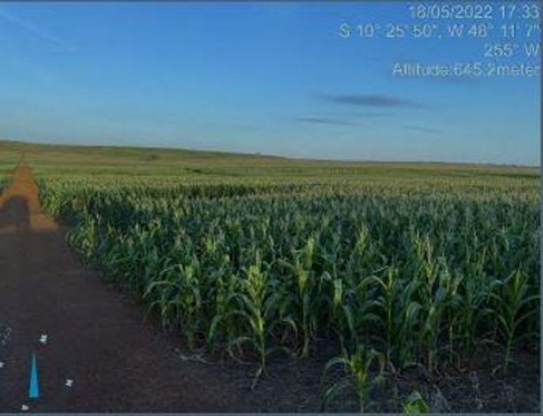 Imóvel Rural 158,47ha para Agricultura Soja/Milho em Porto Nacional/TO