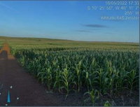 Imóvel Rural 158,47ha para Agricultura Soja/Milho em Porto Nacional/TO