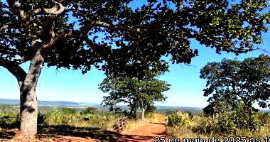 Fazenda Rural com 1594552 m² de Terreno em Ivolândia - GO