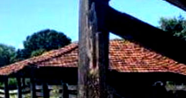 Fazenda Rancharia - 773.43 ha para Agropecuária